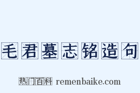毛君墓志铭造句是什么意思的图片